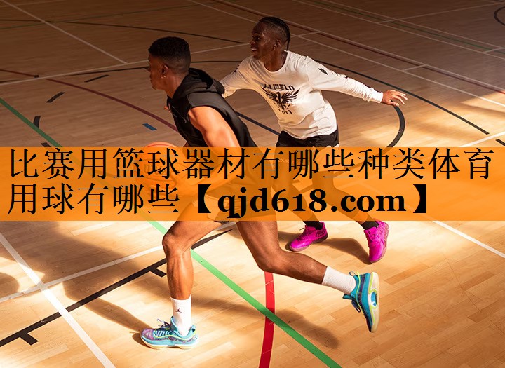比赛用篮球器材有哪些种类体育用球有哪些