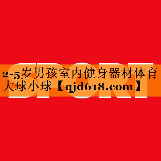 2-5岁男孩室内健身器材体育大球小球