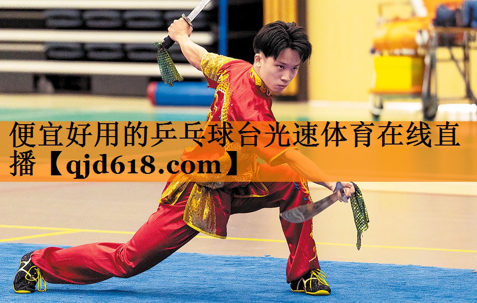 便宜好用的乒乓球台光速体育在线直播