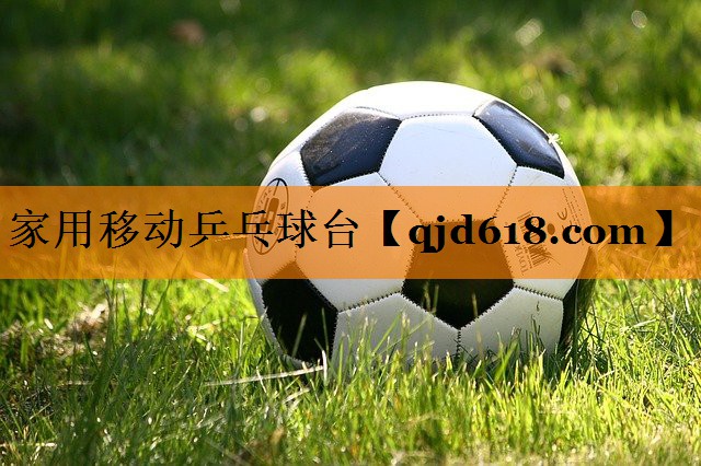 <strong>家用移动乒乓球台</strong>