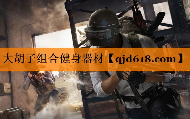 <strong>大胡子组合健身器材</strong>