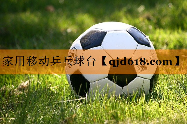 家用移动乒乓球台