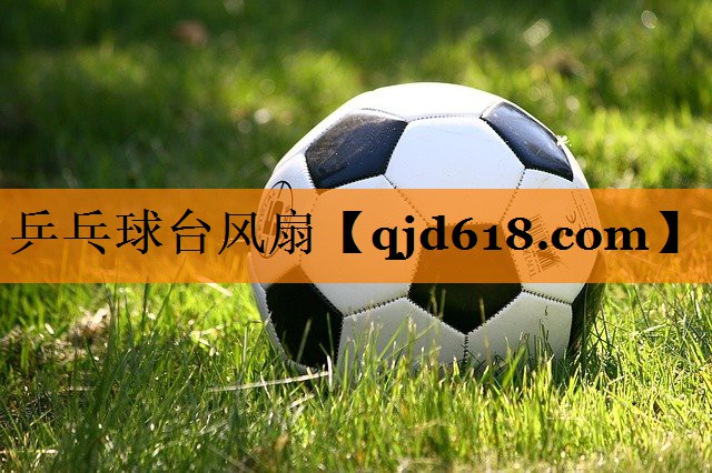 乒乓球台风扇