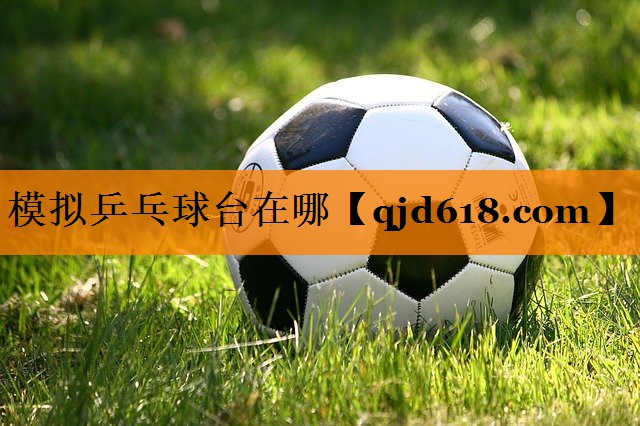 模拟乒乓球台在哪